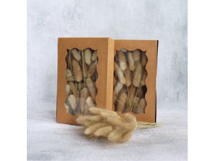 Lagurus natur box pro aranžování balení