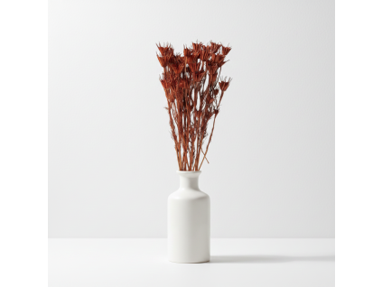 Sušená Nigella - hnědá