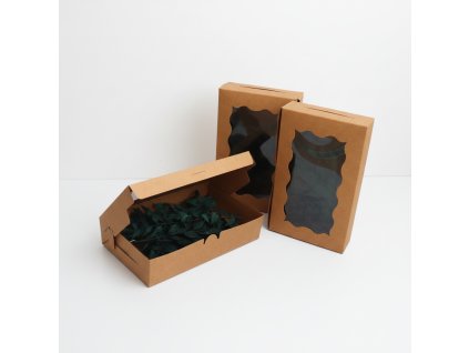 Box - Ruscus tm.zelená