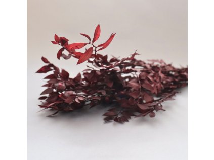 Ruscus bordo detail