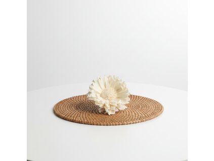 Květ Shola Sunflower – smetanová