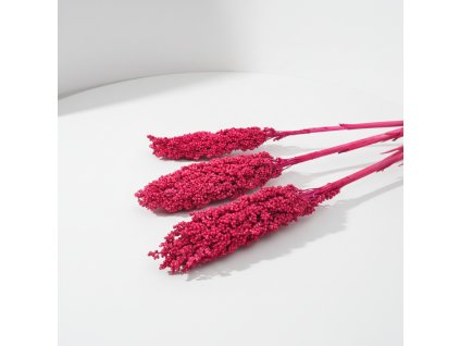 Sušený Čirok (Sorghum) - erika