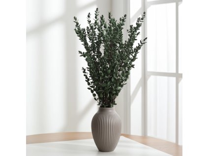 Eukalyptus Parvifoglia stabilizovaný - zelený ve váze na stole