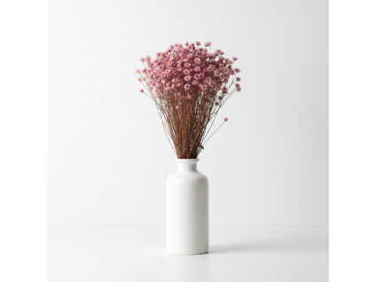 Sušená Glixia - lilla