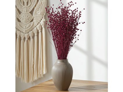 Sušený Len - erika ve váze