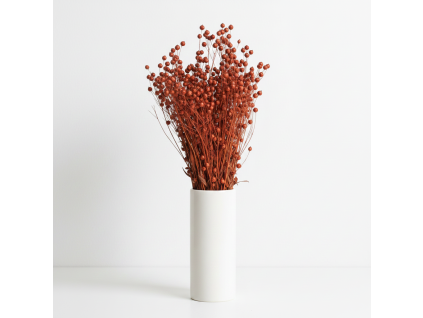 Sušený Len - terracotta