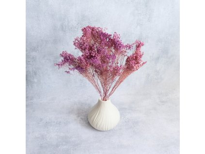 Sušený Broom Bloom lilla ve váze