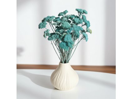 Sušená Achillea aquamarine ve váze na stole