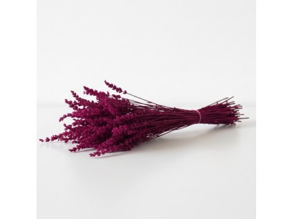 Stabilizovaná Levandule - fuchsiová 100 svazek