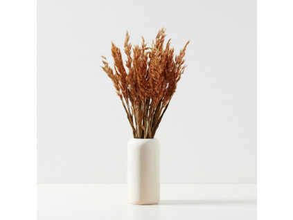 Sušená Avena - terracotta