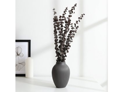 Eukalyptus Baby Blue stabilizovaný - červený ve váze