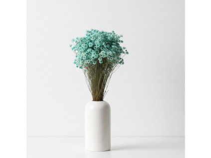 Sušená Glixia - celeste