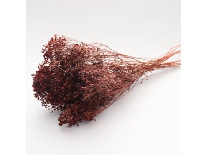 Sušený Broom Bloom - hnědý