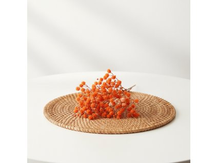 Gypsophila box pro aranžování - oranžová