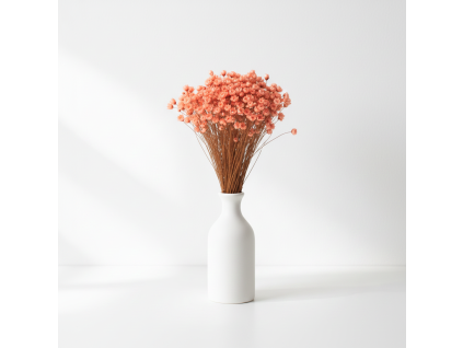 Sušená Glixia - meruňková