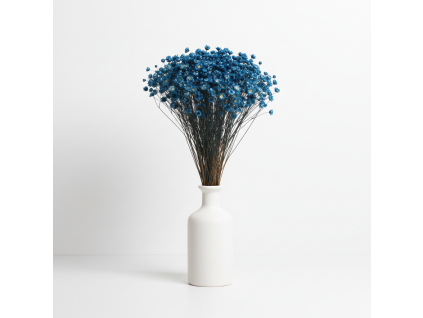 Sušená Glixia tmavě modrá