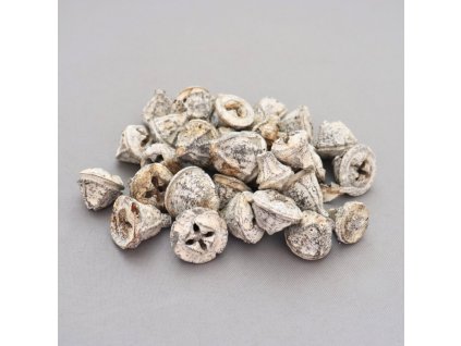 Eucalyptus pod bílý 100 g