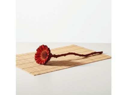 Protea rozeta - červená