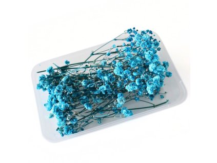 Stabilizovaná Gypsophila box pro aranžování nebesky modrá balení