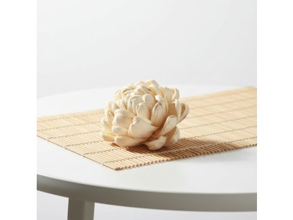 Květ Shola Ninza/Chrysanthmum - smetanová