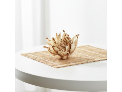 Květ Shola spike - žíhaná