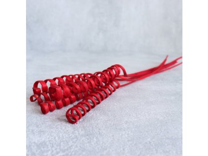 Přírodní dekorace Cane spring červená svazek