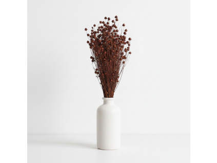 Sušený Len - hnědá