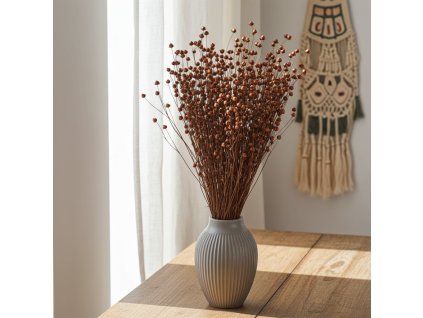 Sušený Len - hnědá ve váze na stole v interiéru