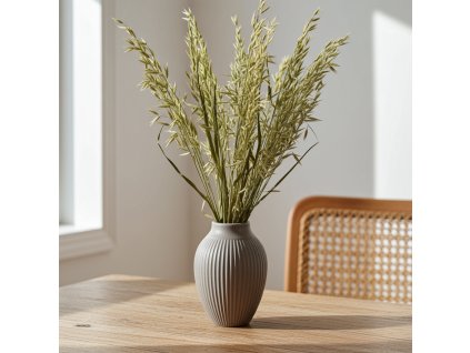 Sušená Avena natur ve váze na dřevěném stole