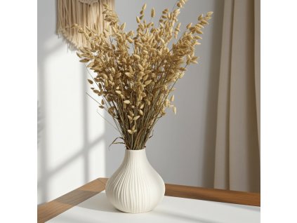 Sušená třesená tráva Briza - natur ve váze