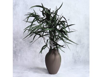 Eucalyptus Nicholli stabilizovaný zelená 100g v kameninové váze