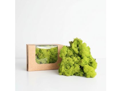 Stabilizovaný Islandský mech - sv.zelená