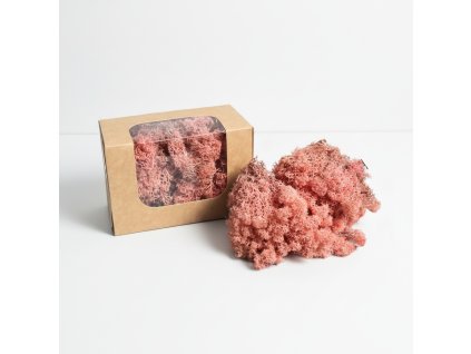 Stabilizovaný Islandský mech - starorůžová