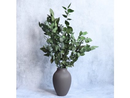 Eucalyptus Stuartiana stabilizovaný zelený ve váze