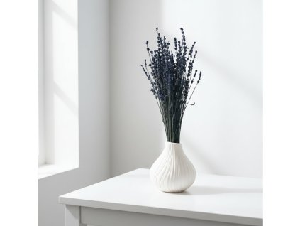 Stabilizovaná Levandule - matná modrá ve váze