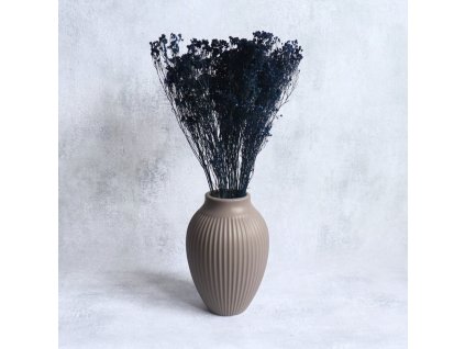 Sušený Broom Bloom tm. modrá svazek ve váze