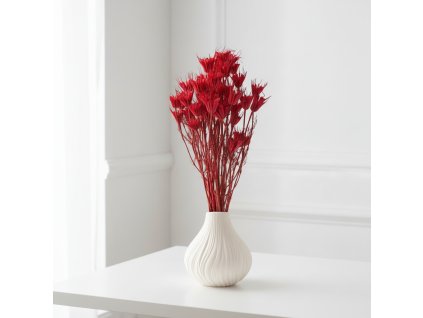 Sušená Nigella - rosa/natur ve váze