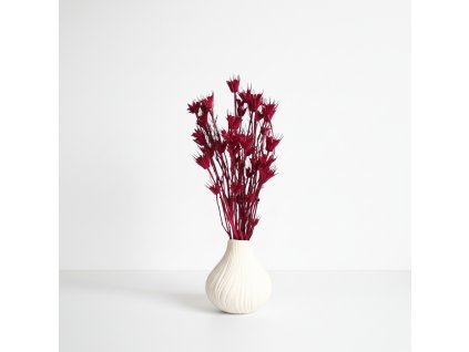 Sušená Nigella - erika ve váze