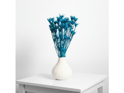 Sušená Nigella - sv. modrá ve váze