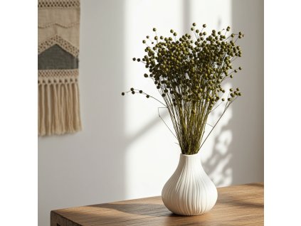 Sušený Len - olivově zelená ve váze