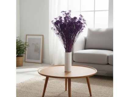Sušený Broom Bloom - viola ve váze