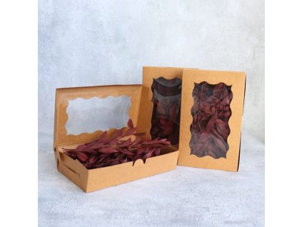 Box na aranžování Ruscus bordo