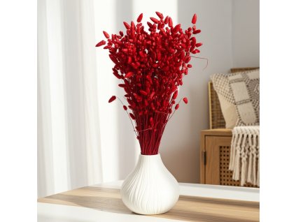 Sušená třesavá tráva Briza bordo edited 4