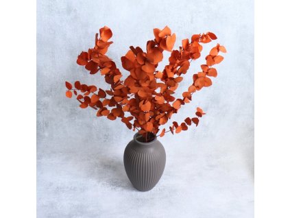 Eukalyptus Stuartiana stabilizovaný orange ve váze