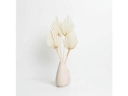 Sušený Palm spear - bílý