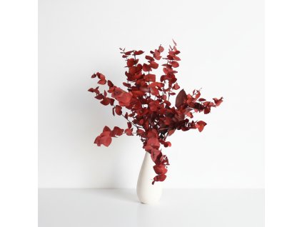 Eukalyptus Stuartiana stabilizovaný - červený ve váze