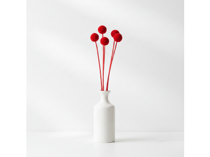 Craspedia - červená