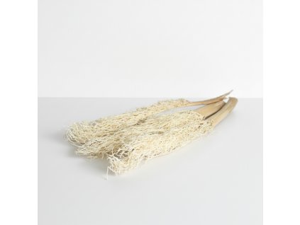 Sušený Khejur - bělený svazek