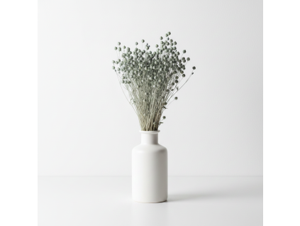 Sušený Len - modrošedá