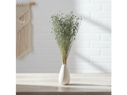 Sušený Len - modrošedá ve váze